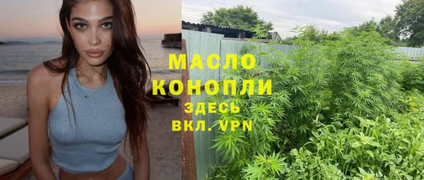 мдма Ельня