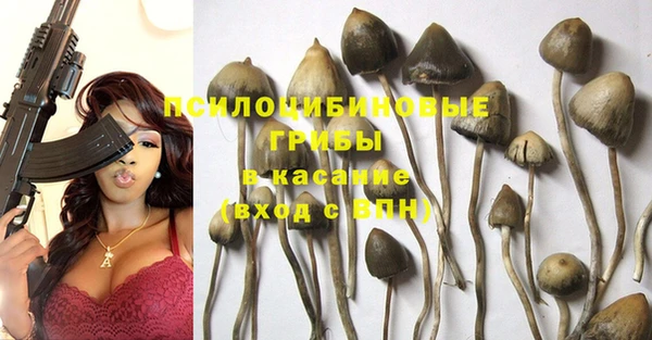мдма Ельня