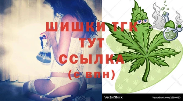 мдма Ельня