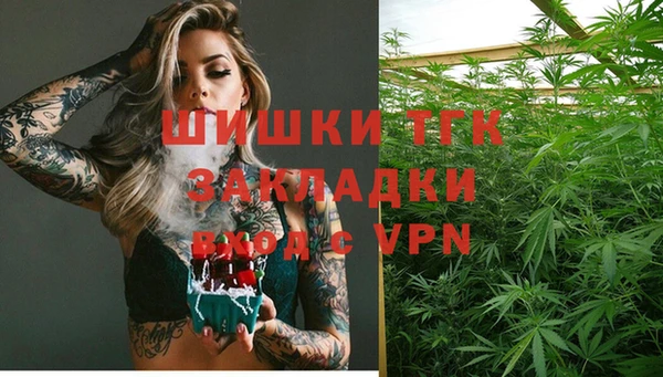 ECSTASY Елизово