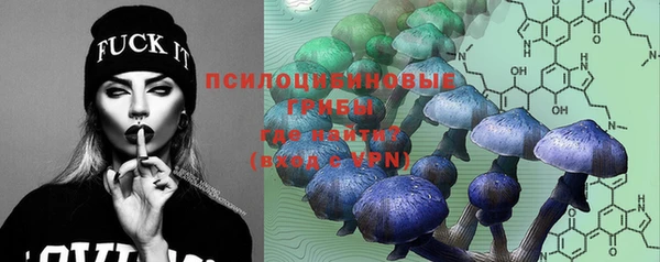 ECSTASY Елизово