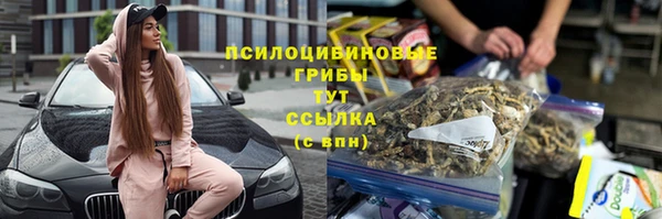 ECSTASY Елизово