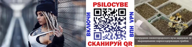 Псилоцибиновые грибы прущие грибы Мамоново